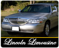 Silver 8 seater limo